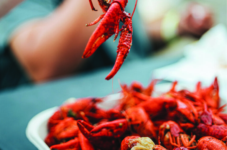 Seafood boil